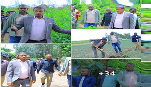 የስልጤ ዞን ዋና አስተዳዳሪ አቶ ዘይኔ ቢልካ በላንፉሮ ወረዳ እየተከናወኑ የሚገኙ የግብርና ልማት ስራዎች ላይ ምልከታ አደረጉ!